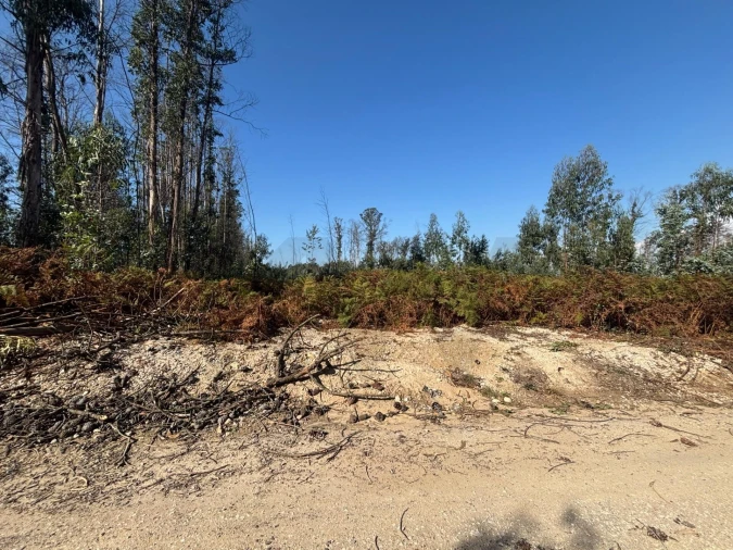 Terreno para Venda em Cacia Foto 2