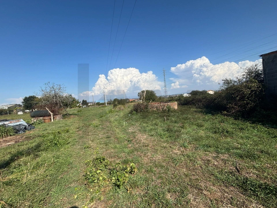 Terreno para Venda em Cacia Foto 2