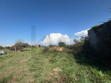 Terreno para Venda em Cacia