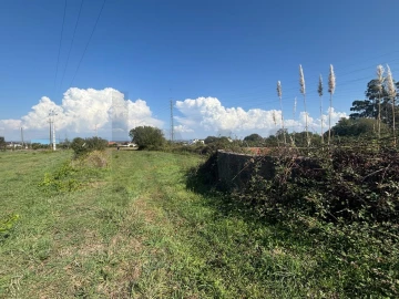 Terreno para Venda em Cacia