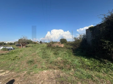 Terreno para Venda em Cacia
