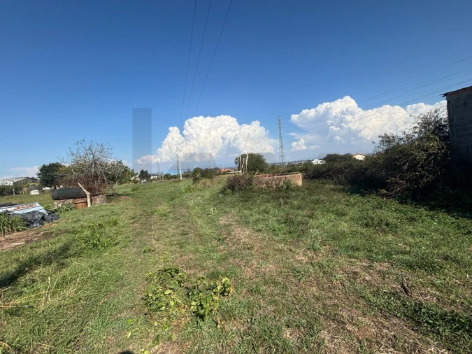Terreno para Venda em Cacia Foto 2