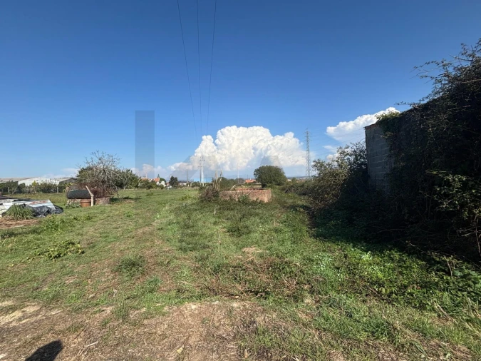 Terreno para Venda em Cacia Foto 4