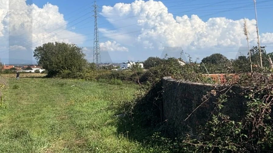 Terreno para Venda em Cacia