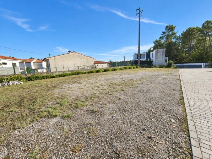 Armazém para Arrendamento em Carreira e Fonte Coberta Foto 3