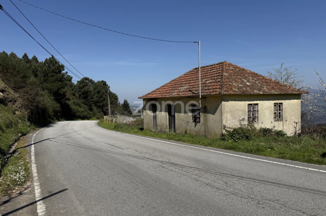 Terreno para Venda em Cinfães Foto 1