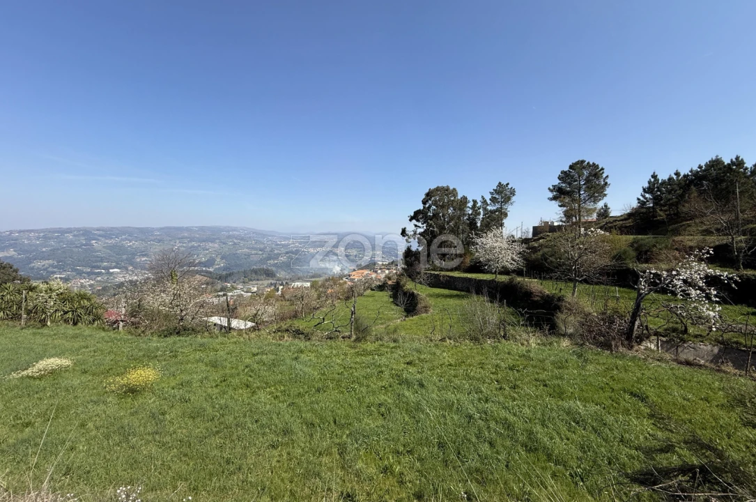 Terreno para Venda em Cinfães Foto 12