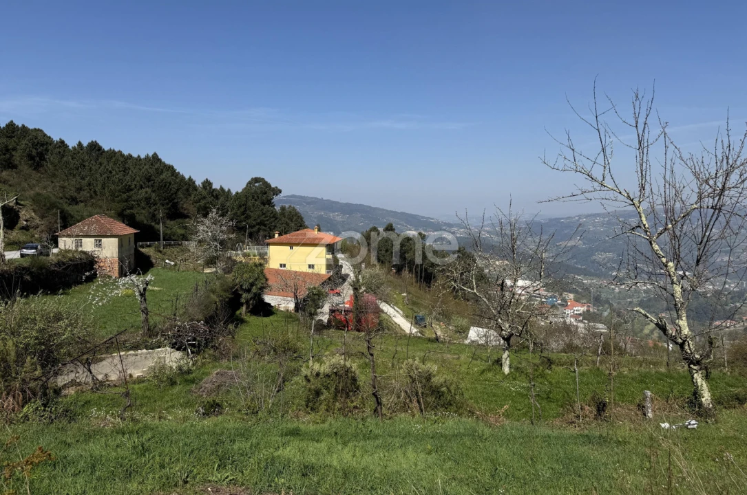Terreno para Venda em Cinfães Foto 13