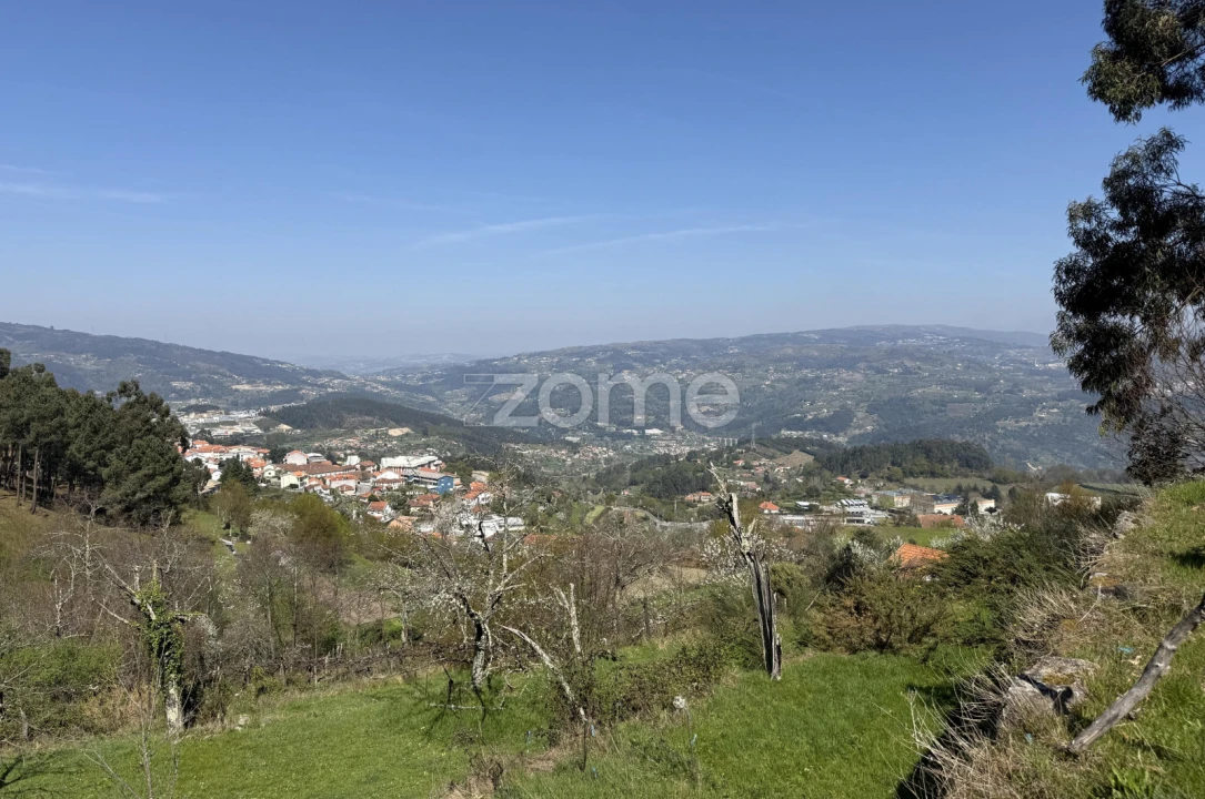 Terreno para Venda em Cinfães Foto 20
