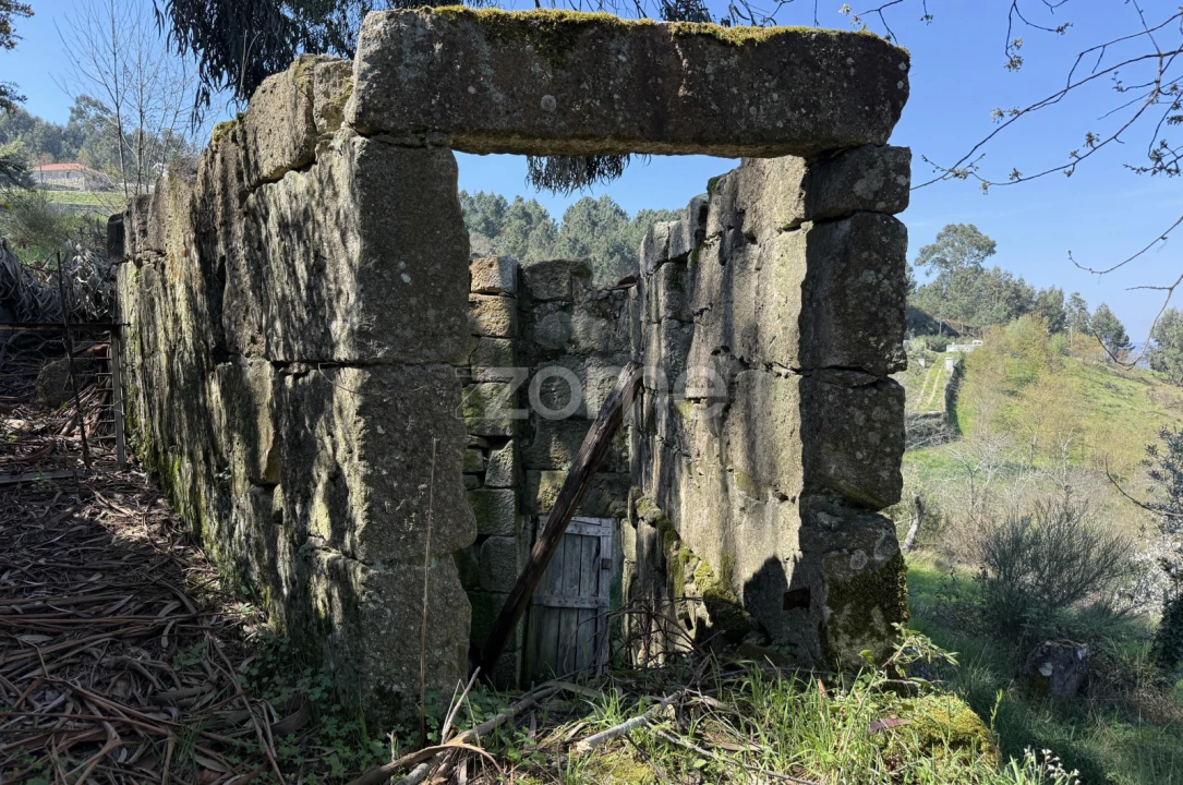 Terreno para Venda em Cinfães Foto 22