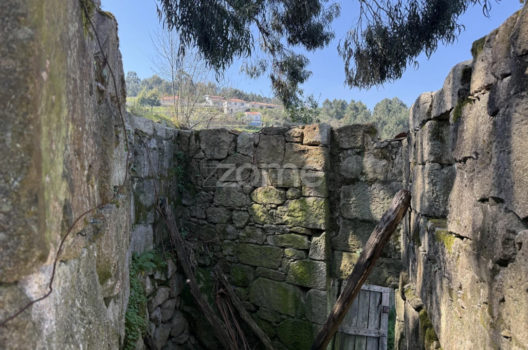 Terreno para Venda em Cinfães Foto 23