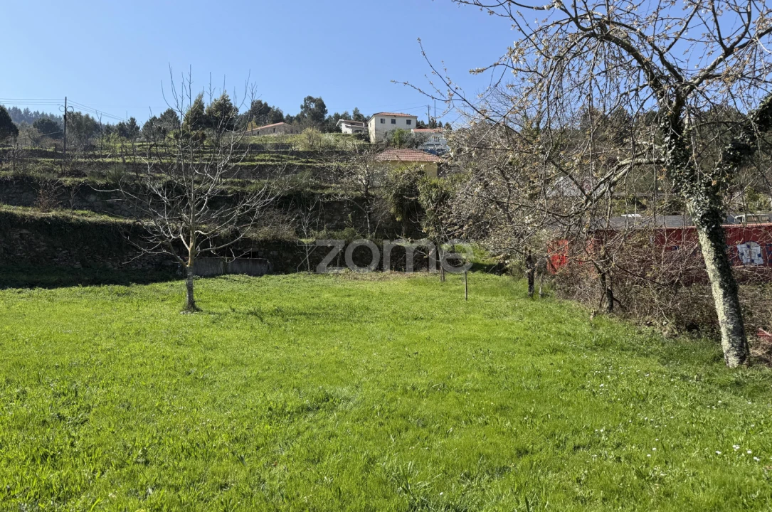 Terreno para Venda em Cinfães Foto 19