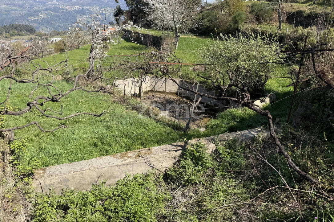 Terreno para Venda em Cinfães Foto 27