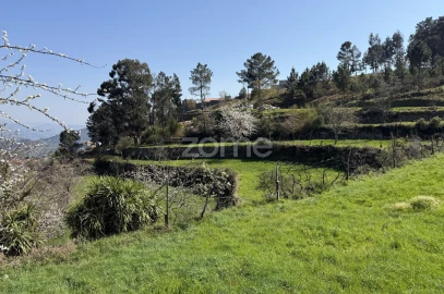 Terreno para Venda em Cinfães