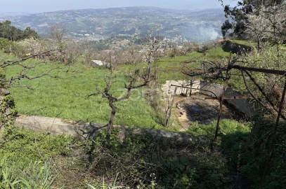 Terreno para Venda em Cinfães