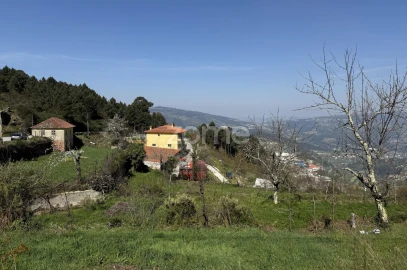 Terreno para Venda em Cinfães