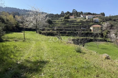 Terreno para Venda em Cinfães