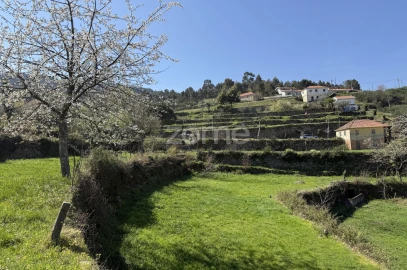 Terreno para Venda em Cinfães