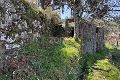 Terreno para Venda em Cinfães