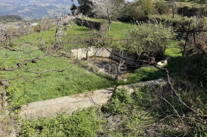 Terreno para Venda em Cinfães