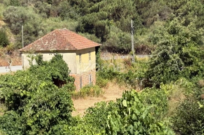 Terreno para Venda em Cinfães