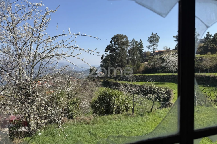 Terreno para Venda em Cinfães Foto 3