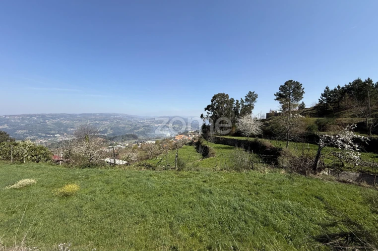Terreno para Venda em Cinfães Foto 12