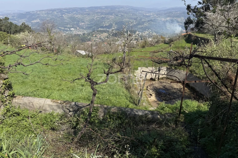 Terreno para Venda em Cinfães Foto 5