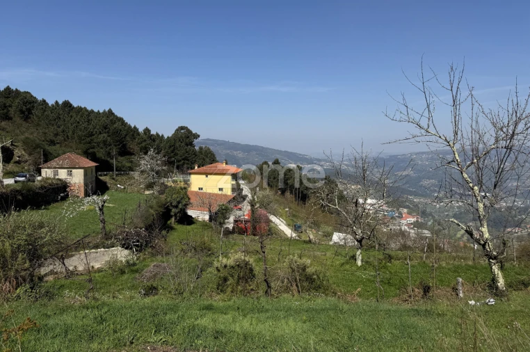 Terreno para Venda em Cinfães Foto 13