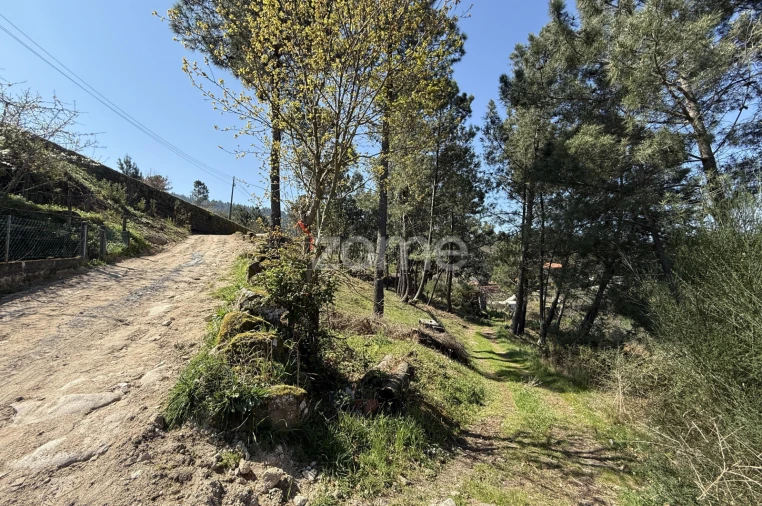 Terreno para Venda em Cinfães Foto 16