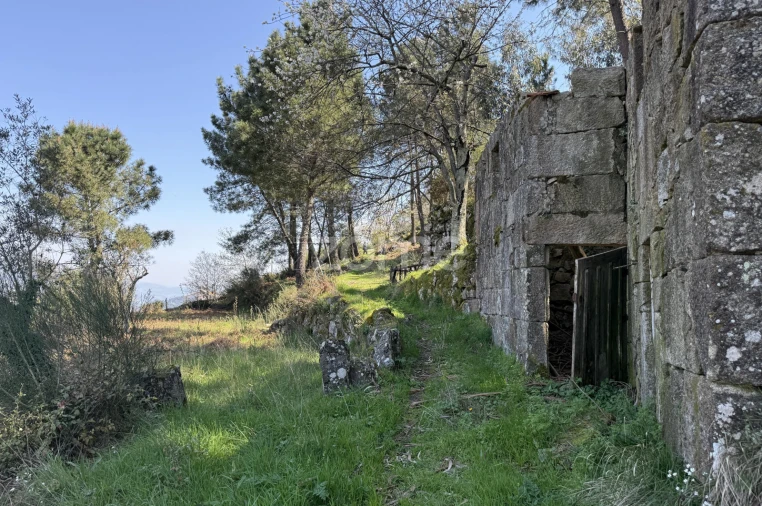 Terreno para Venda em Cinfães Foto 25