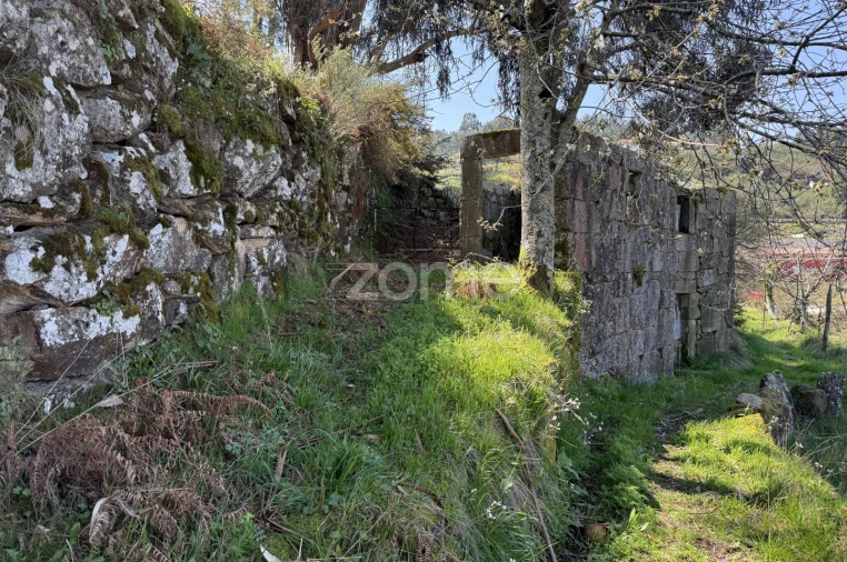 Terreno para Venda em Cinfães Foto 21