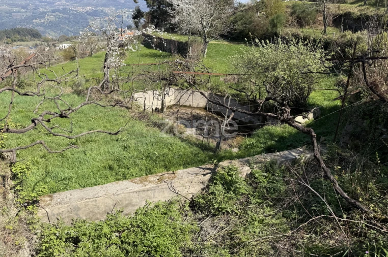 Terreno para Venda em Cinfães Foto 27