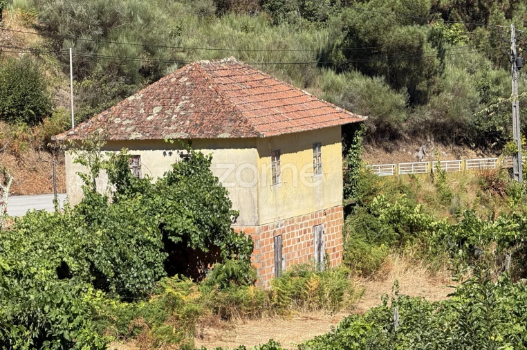 Terreno para Venda em Cinfães Foto 15