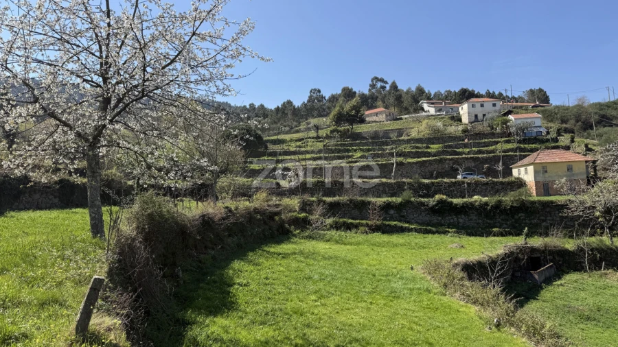 Terreno para Venda em Cinfães