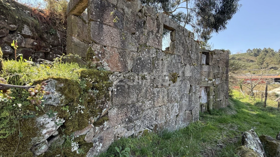 Terreno para Venda em Cinfães