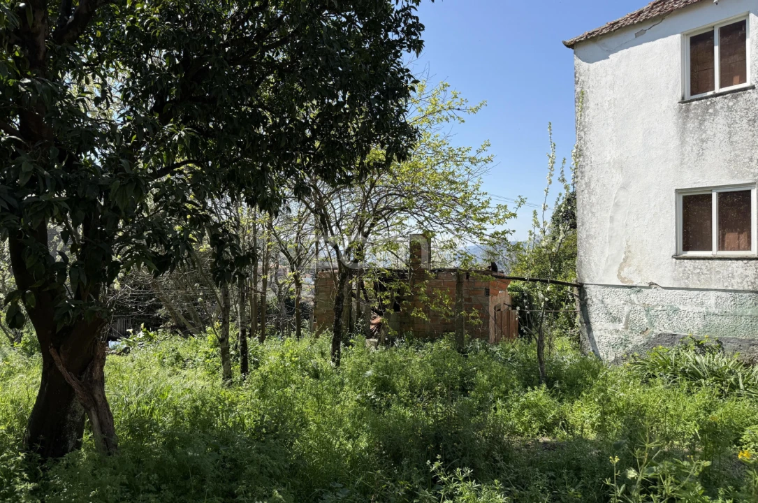 Moradia T5 para Venda em Anreade e São Romão de Aregos Foto 10