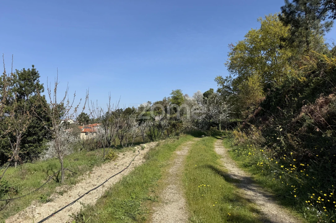 Terreno para Venda em Anreade e São Romão de Aregos Foto 2