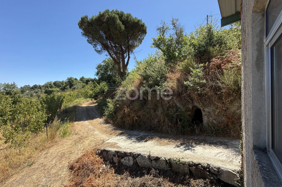 Terreno para Venda em Anreade e São Romão de Aregos Foto 12
