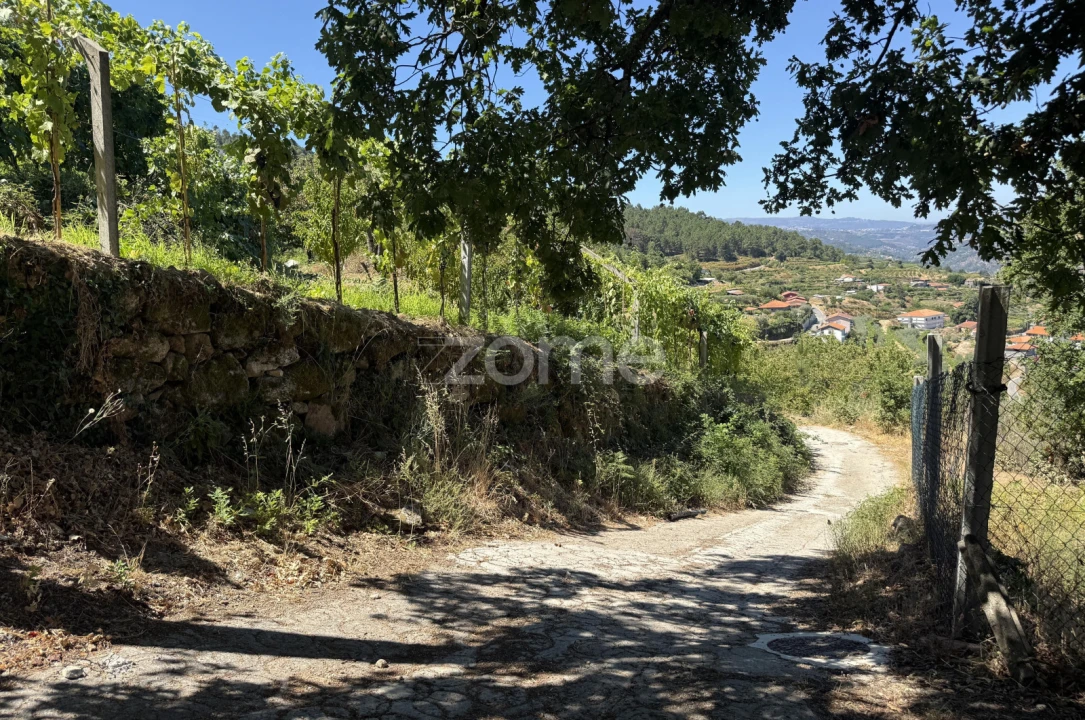 Terreno para Venda em Anreade e São Romão de Aregos Foto 18
