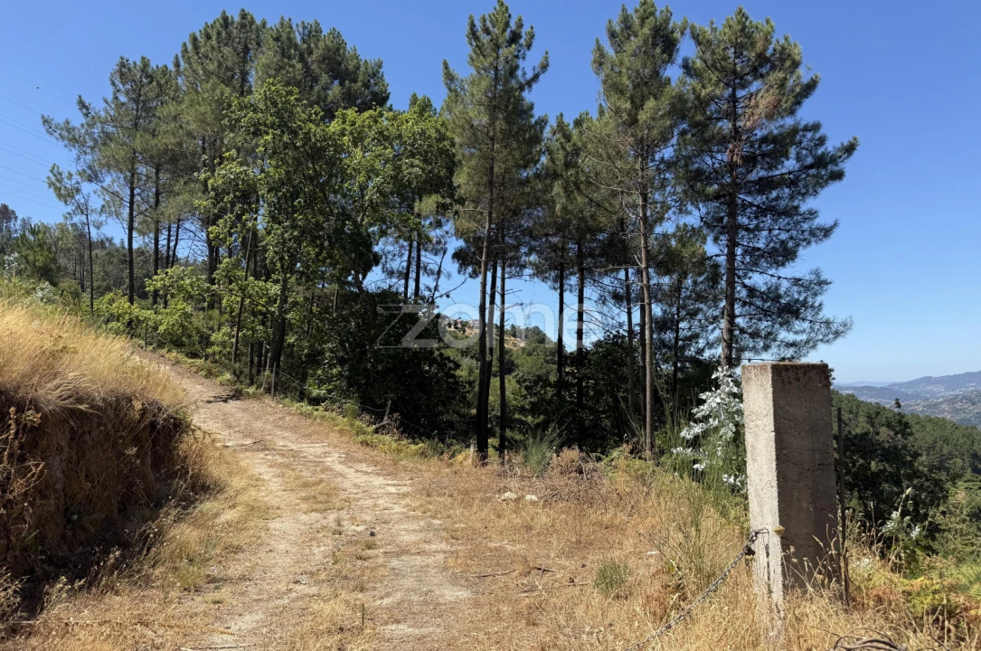 Terreno para Venda em Anreade e São Romão de Aregos Foto 19