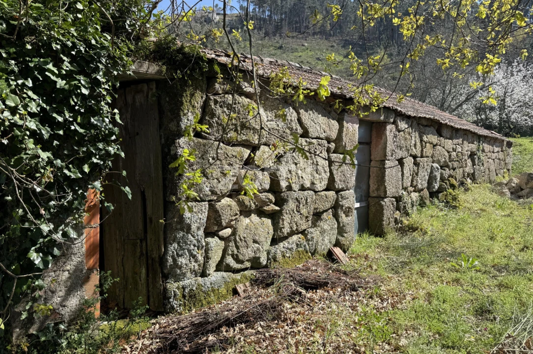 Terreno para Venda em Anreade e São Romão de Aregos Foto 22