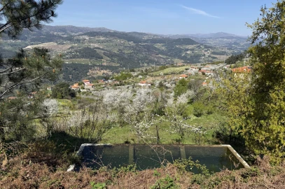 Terreno para Venda em Anreade e São Romão de Aregos
