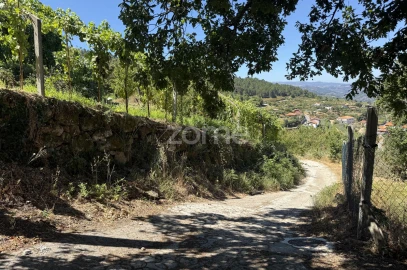 Terreno para Venda em Anreade e São Romão de Aregos