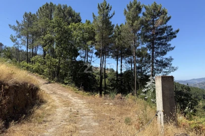 Terreno para Venda em Anreade e São Romão de Aregos