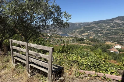 Terreno para Venda em Anreade e São Romão de Aregos