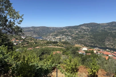 Terreno para Venda em Anreade e São Romão de Aregos