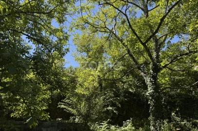 Terreno para Venda em Anreade e São Romão de Aregos
