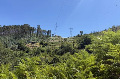 Terreno para Venda em Anreade e São Romão de Aregos