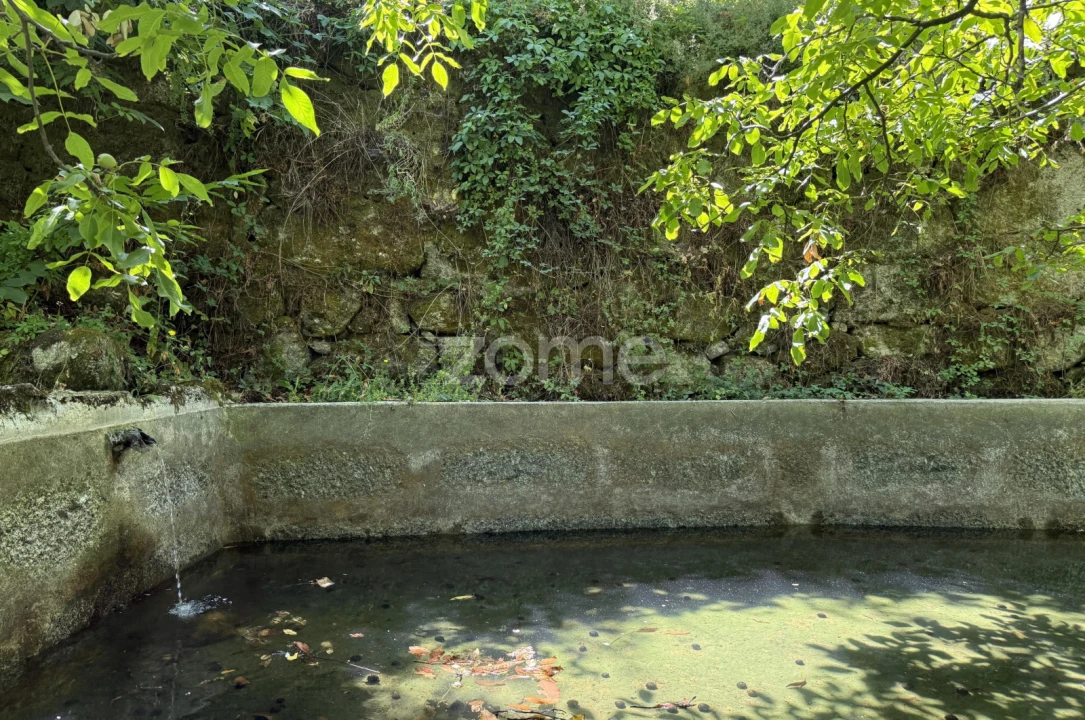 Terreno para Venda em Anreade e São Romão de Aregos Foto 32